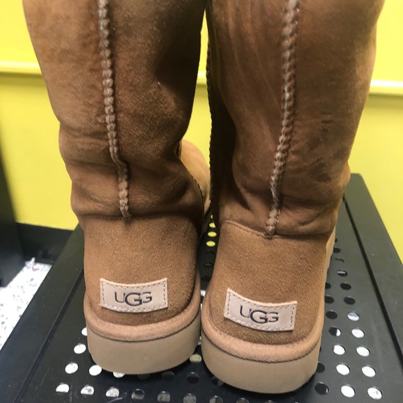 UGG Shoes - Chestnut Colored Uggs